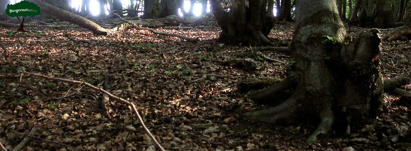 Bürgerinitiative Pro Teuto e. V.