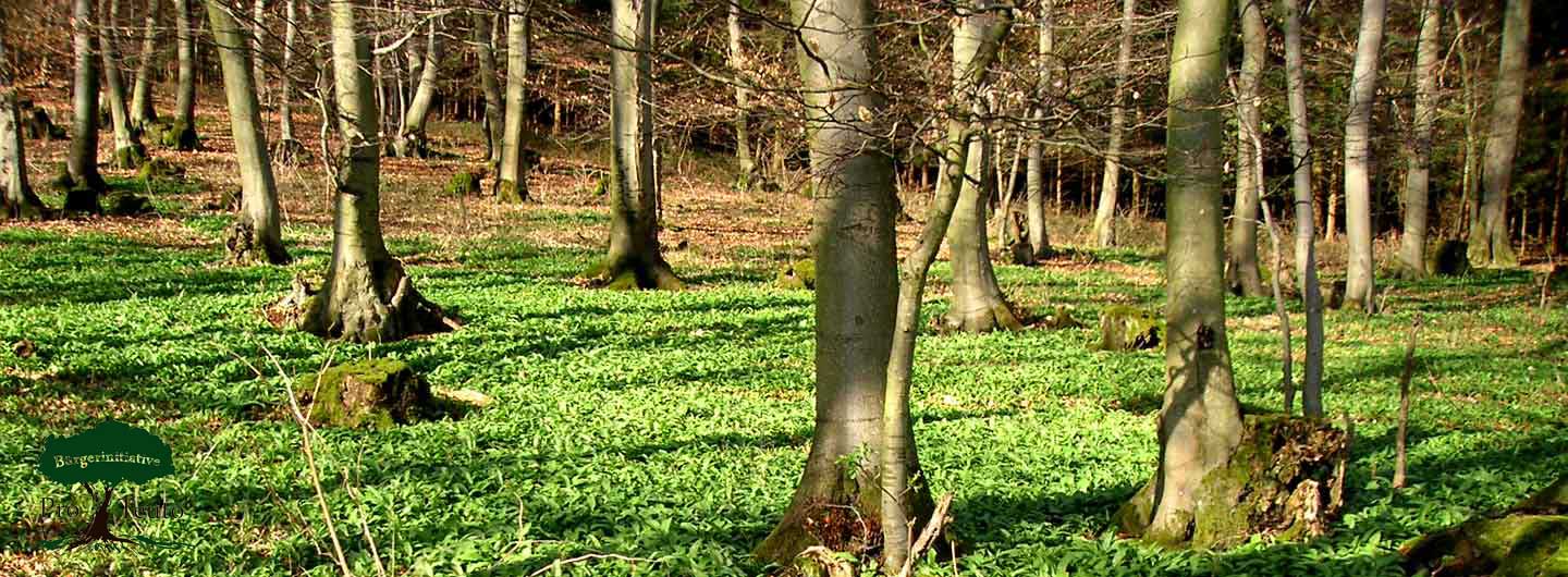 Bürgerinitiative Pro Teuto e. V.