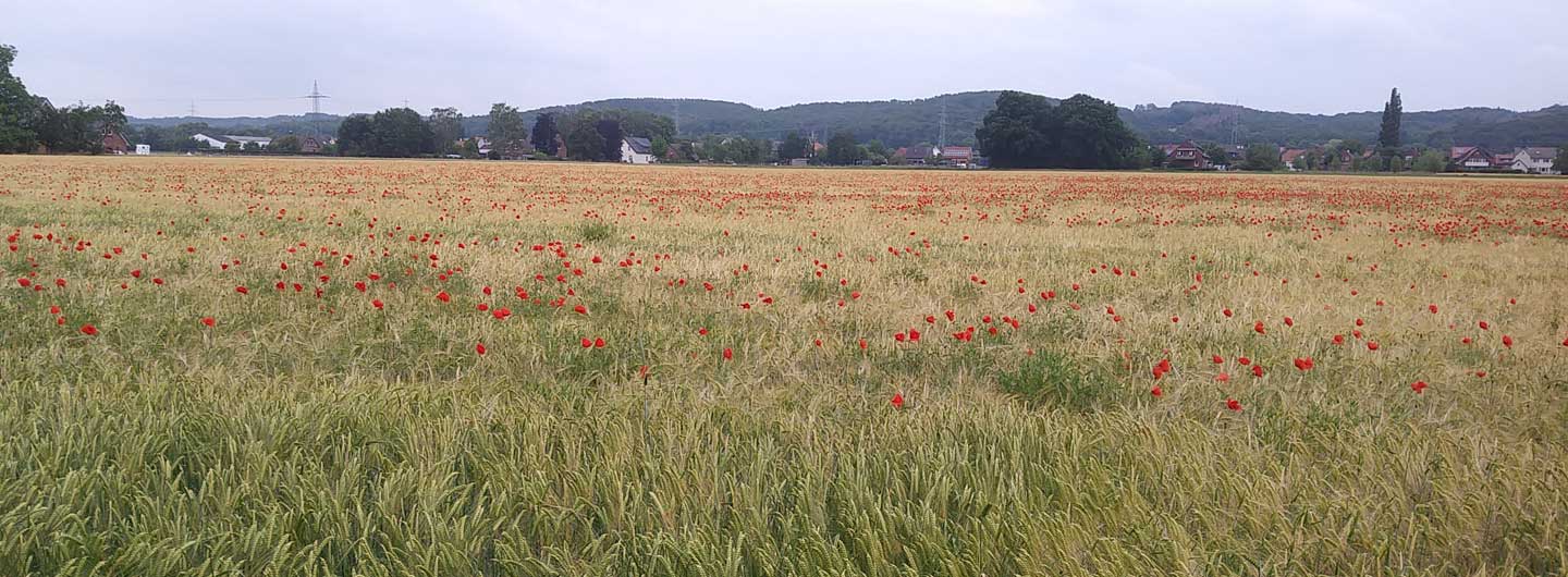 Bürgerinitiative Pro Teuto e. V.
